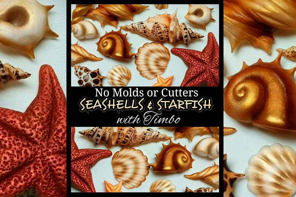 Seashells and Starfish with Timbo!