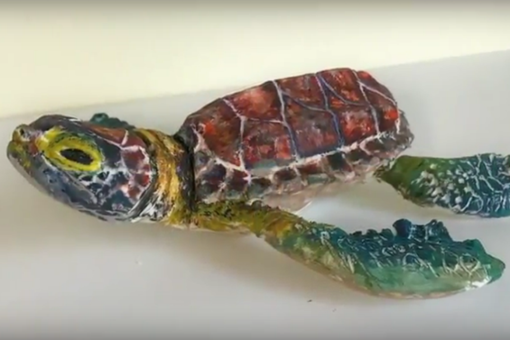 Liz's Turtle Baby