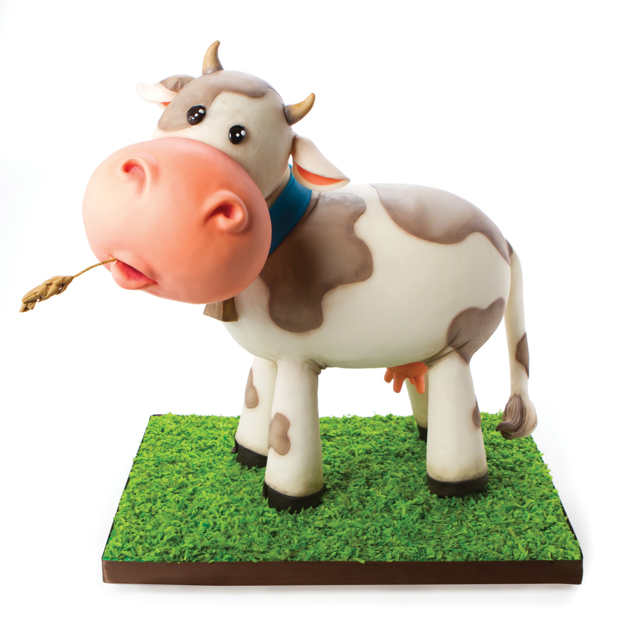 Sugar Structure – Standing Four Legged