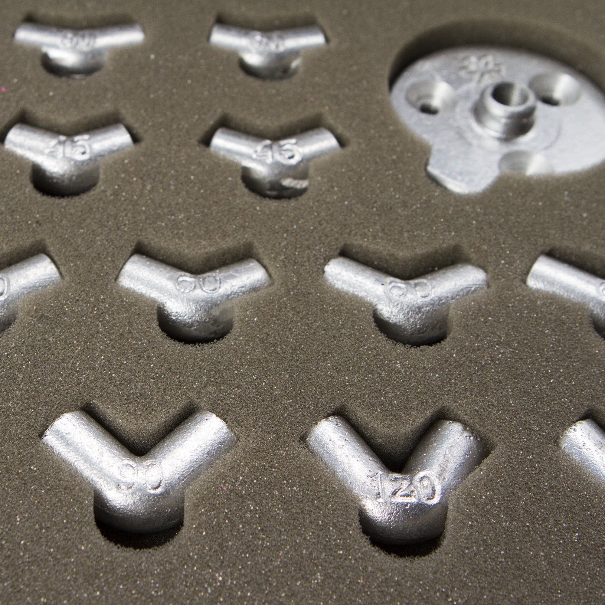 Sugar Structure – Standing Four Legged